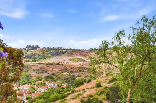 29 Fleurance Street, Laguna Niguel