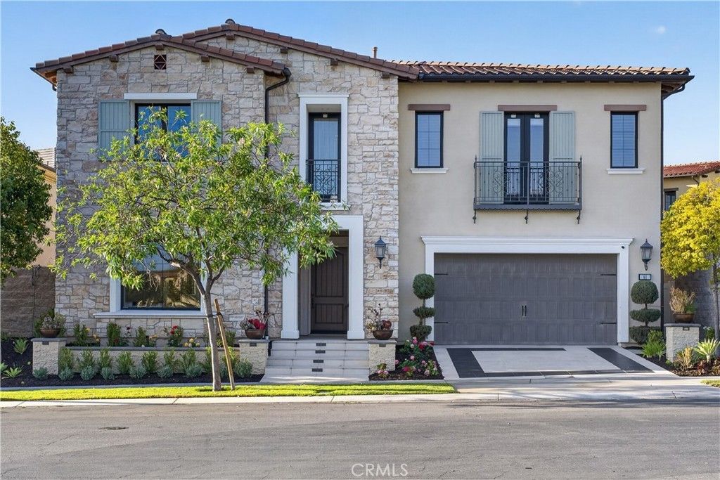 61 Buttonquail, Irvine