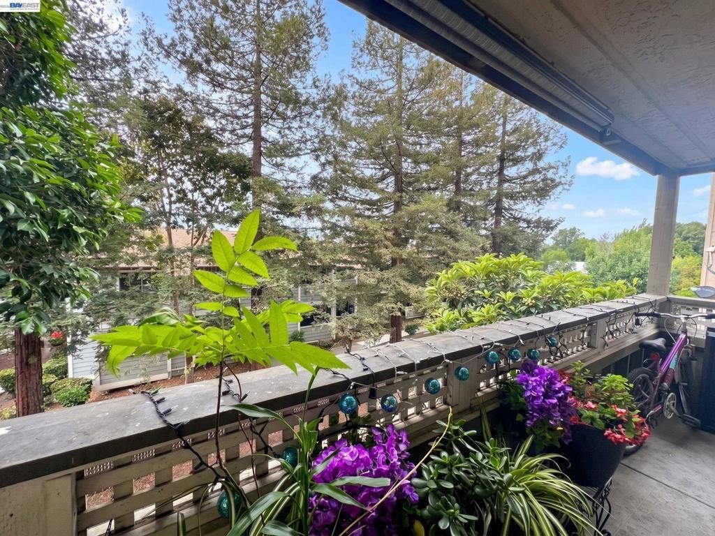 29599 Vanderbilt St # 204, Hayward
