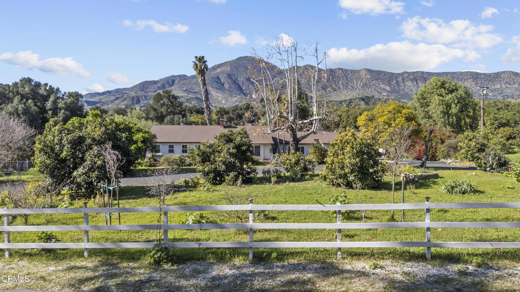 Photo of Listing #V1-38301