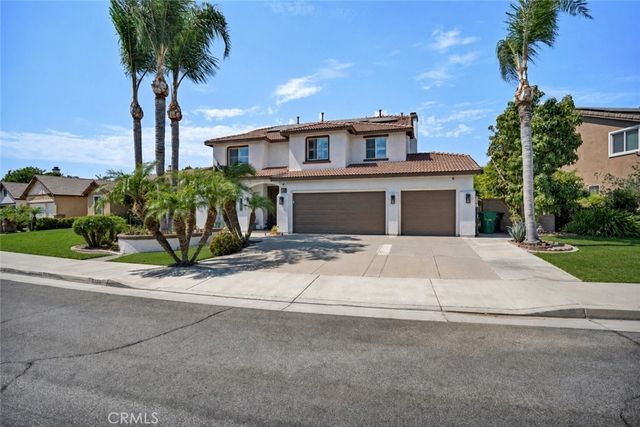13692 Sandhill Crane, Corona