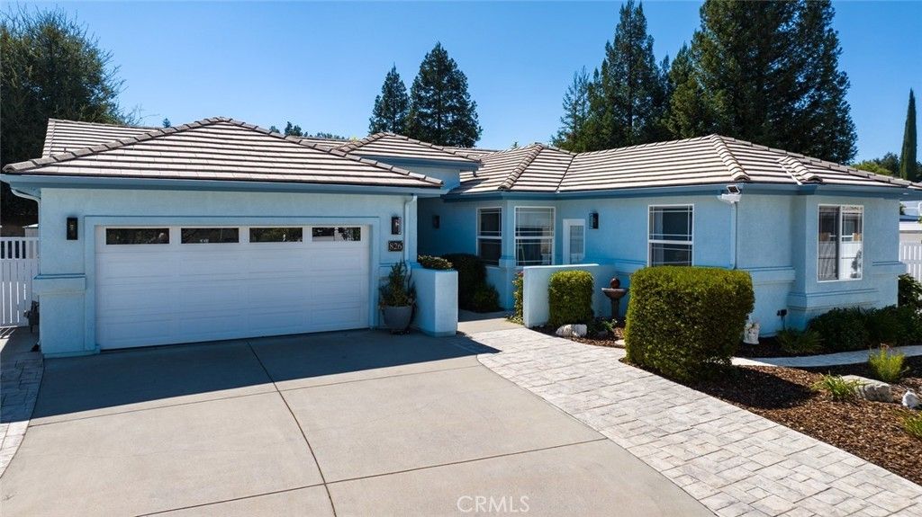 826 Oxen, Paso Robles