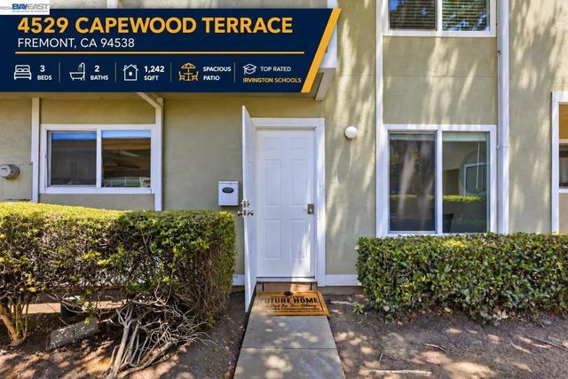 4529 Capewood Terrace, Fremont