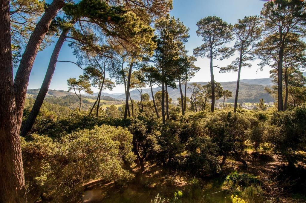 154 Del Mesa Carmel, Carmel
