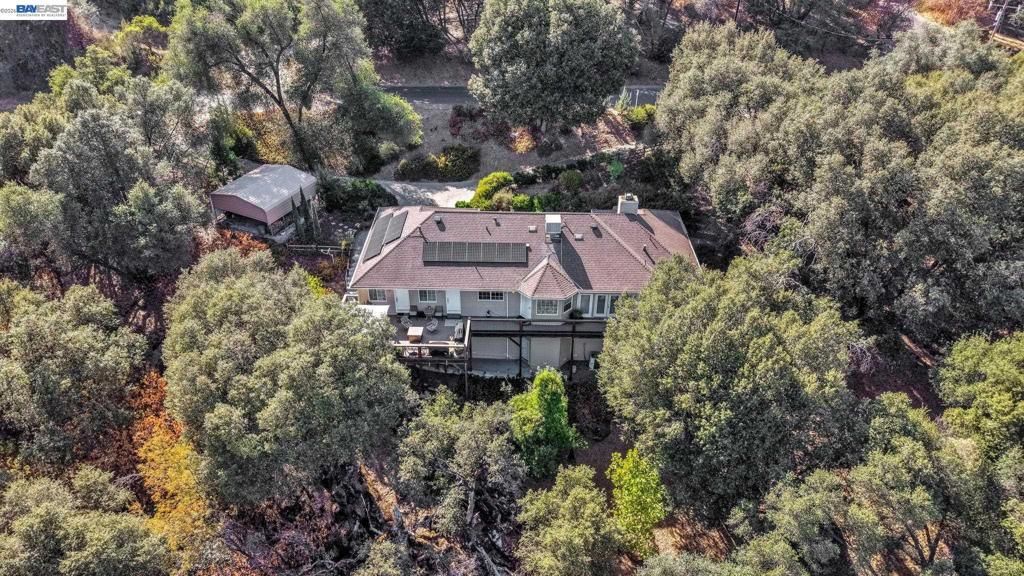 39309 Forest Park Ln, Oakhurst