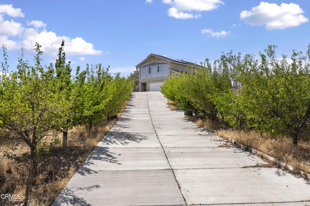 8671 Deer Haven Drive, Pinon Hills