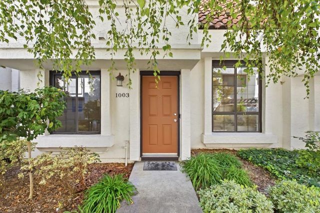 1003 Chula Vista Terrace, Sunnyvale