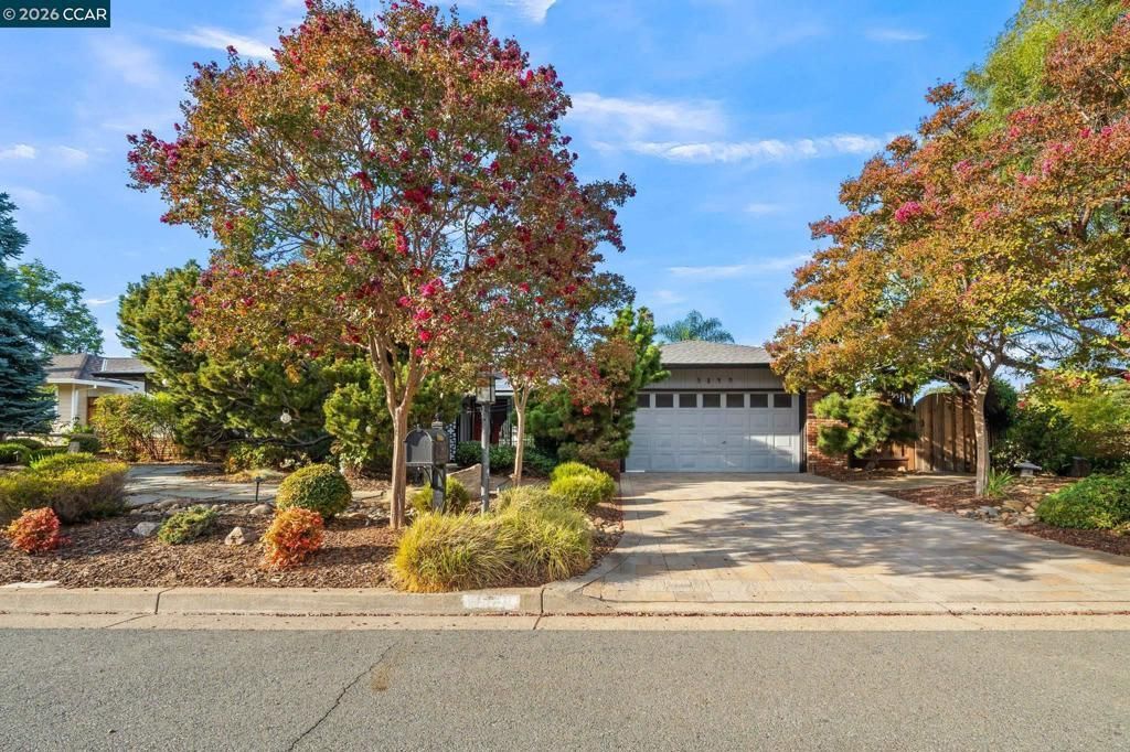5849 Mitchell Canyon Ct, Clayton