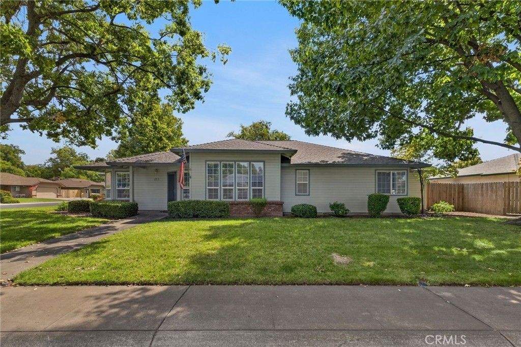 177 Yellowstone, Chico