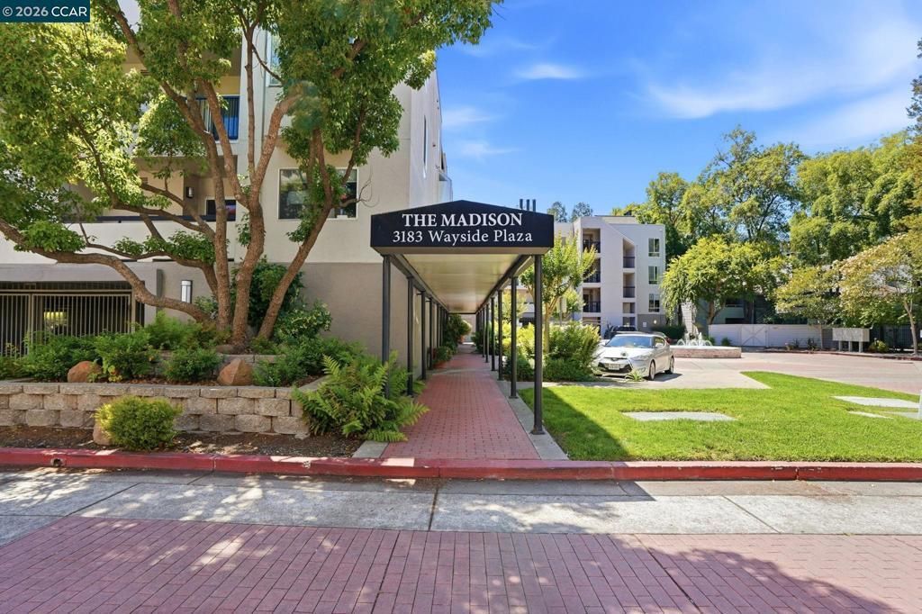 3183 Wayside Plz # 217, Walnut Creek