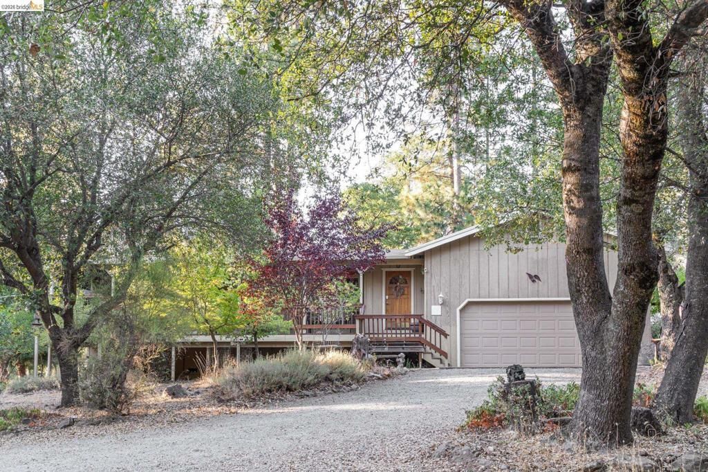 19390 Ferretti Rd, Groveland