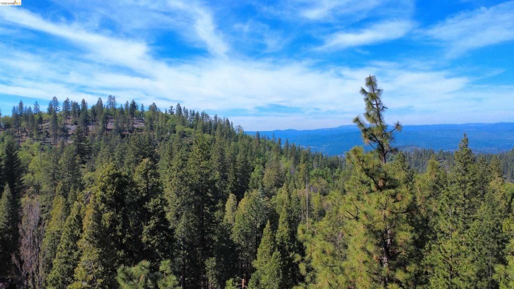 15780 Old Oak Ranch Rd, Sonora