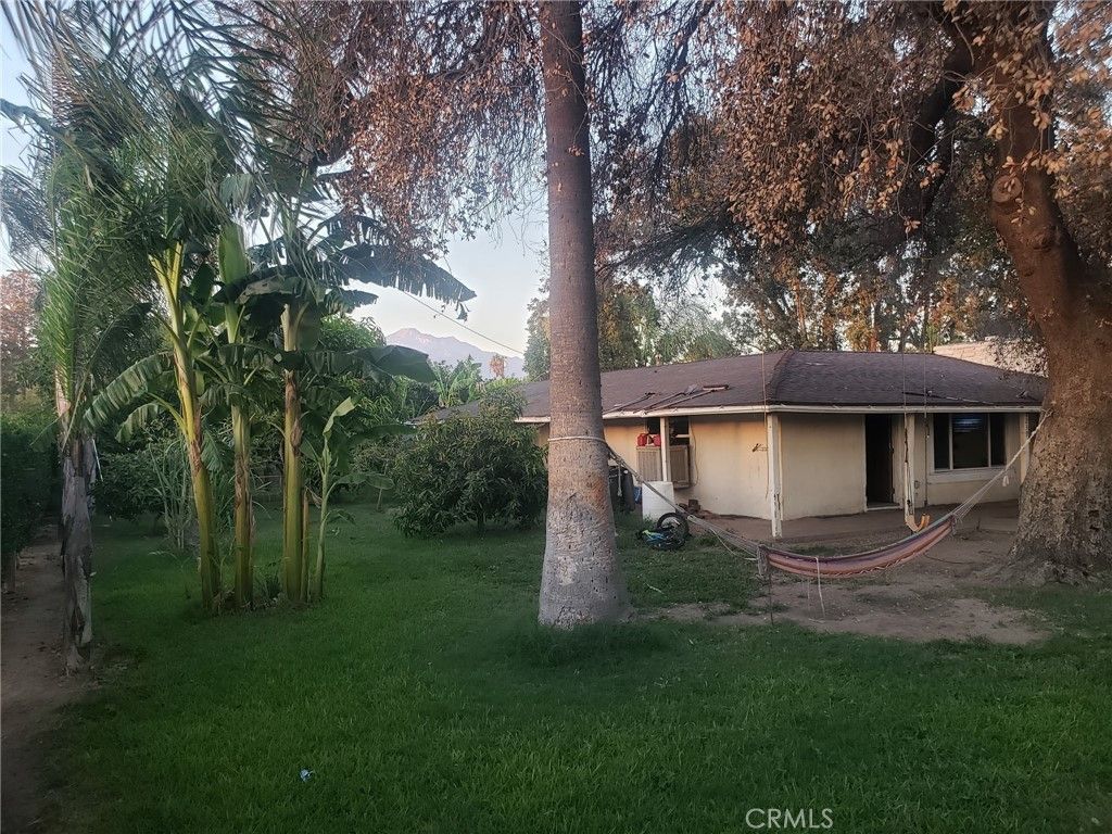 1239 S Vine Avenue, Ontario