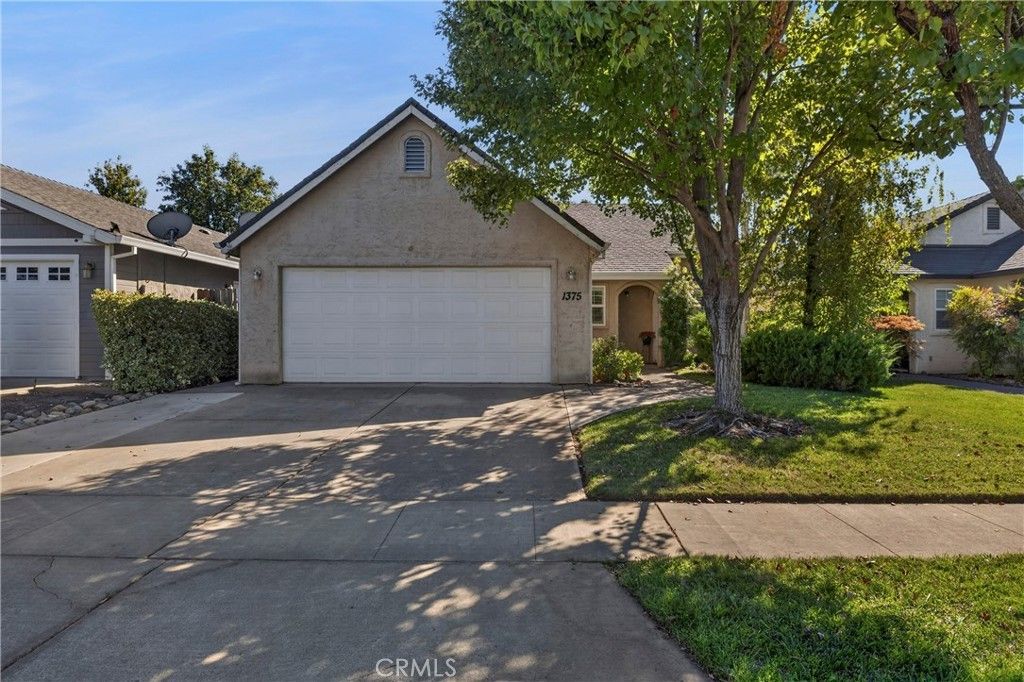 1375 Ringtail, Chico