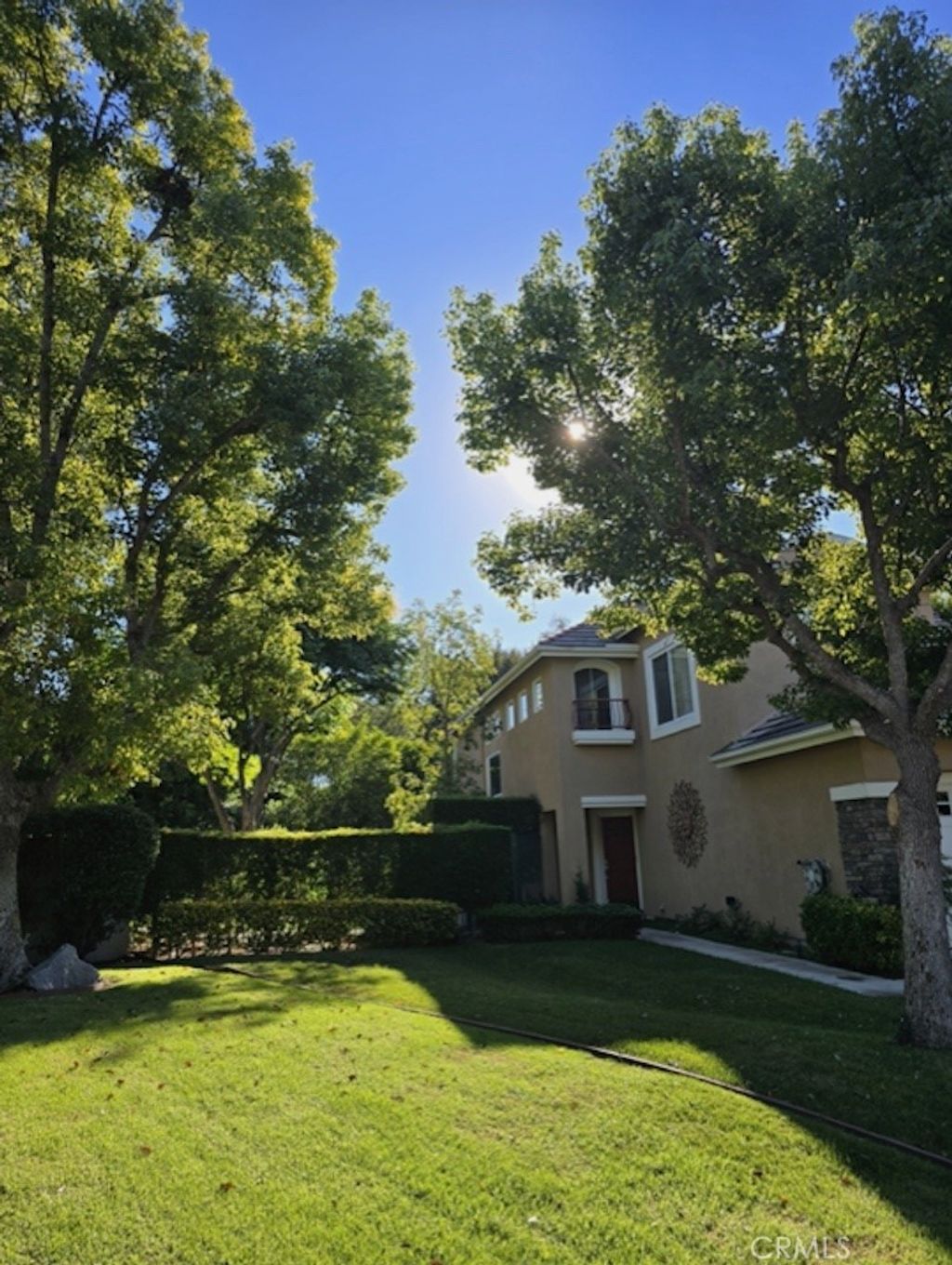 86 Dornoch, Coto de Caza