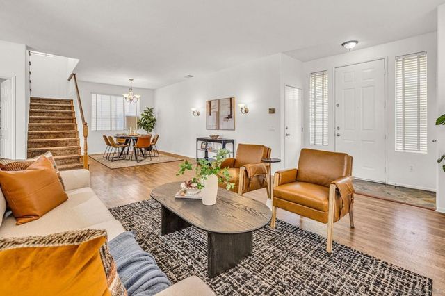 23803 Golden Pheasant, Murrieta
