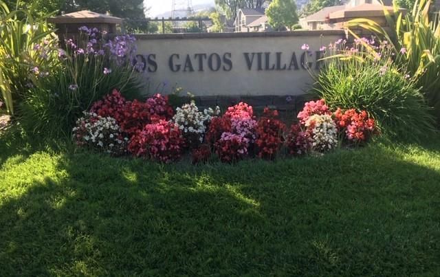 119 Escobar Avenue, Los Gatos