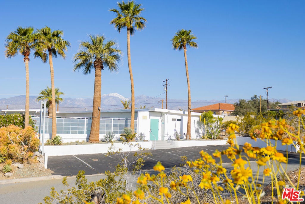 Photo of Listing #26638757