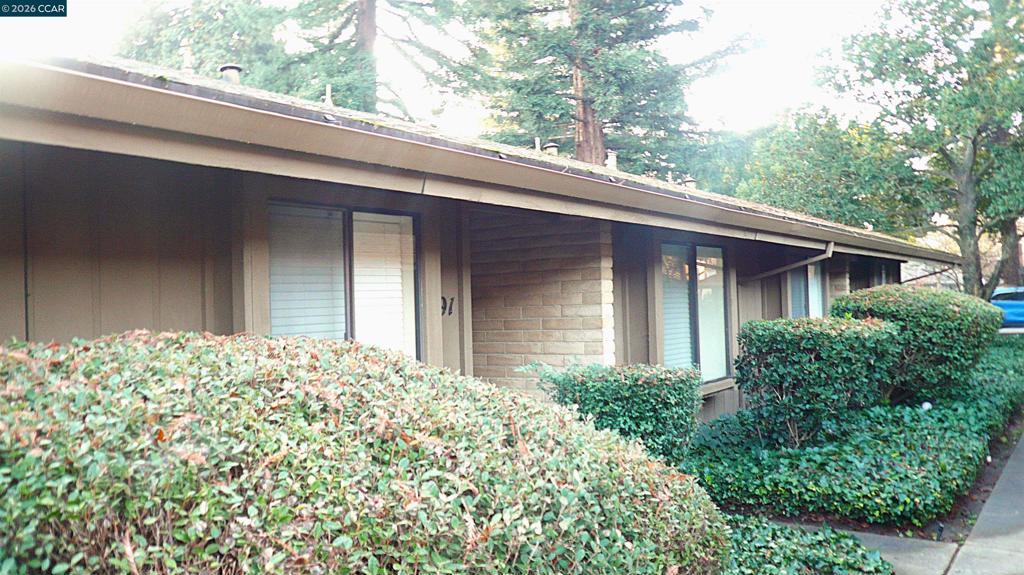 Photo of Listing #41122408