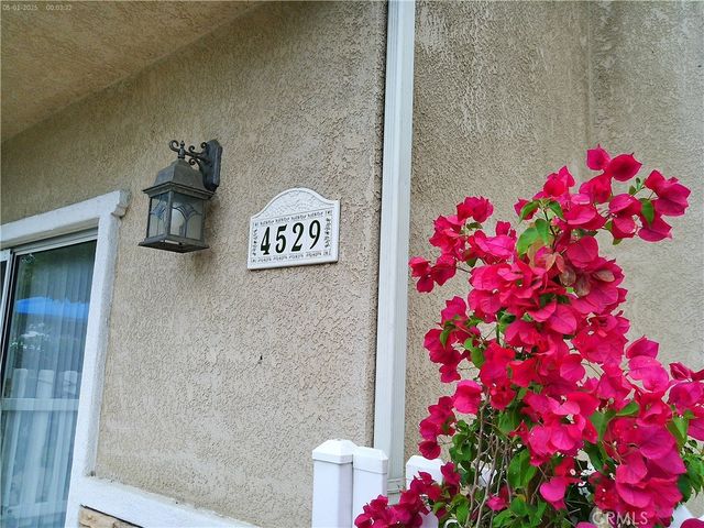 4529 Colfax, Los Angeles