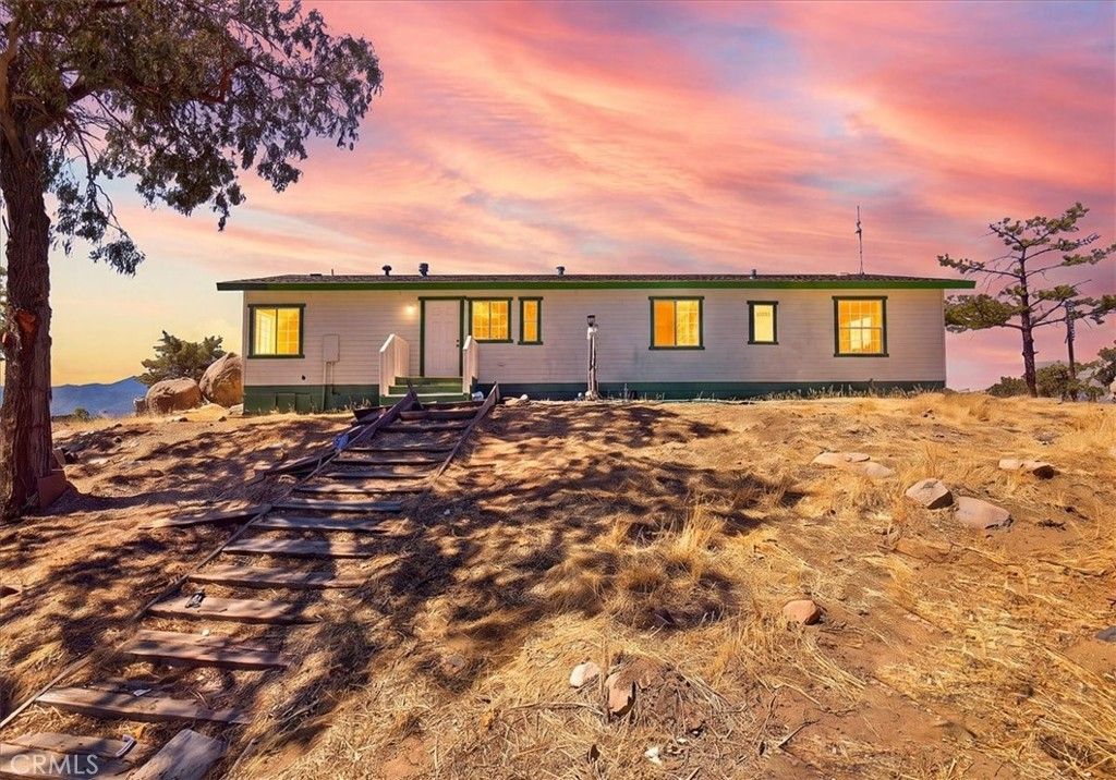 61200 Indian Paint Brush, Anza
