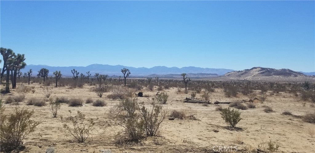 Photo of Listing #SR22184227