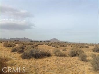 Photo of Listing #HD23101675