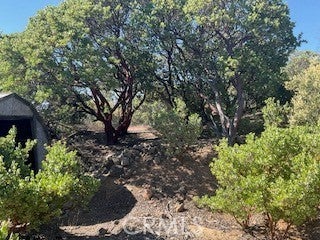 Photo of Listing #SW23119219