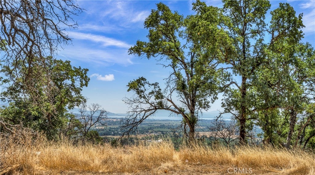 Photo of Listing #LC23148983