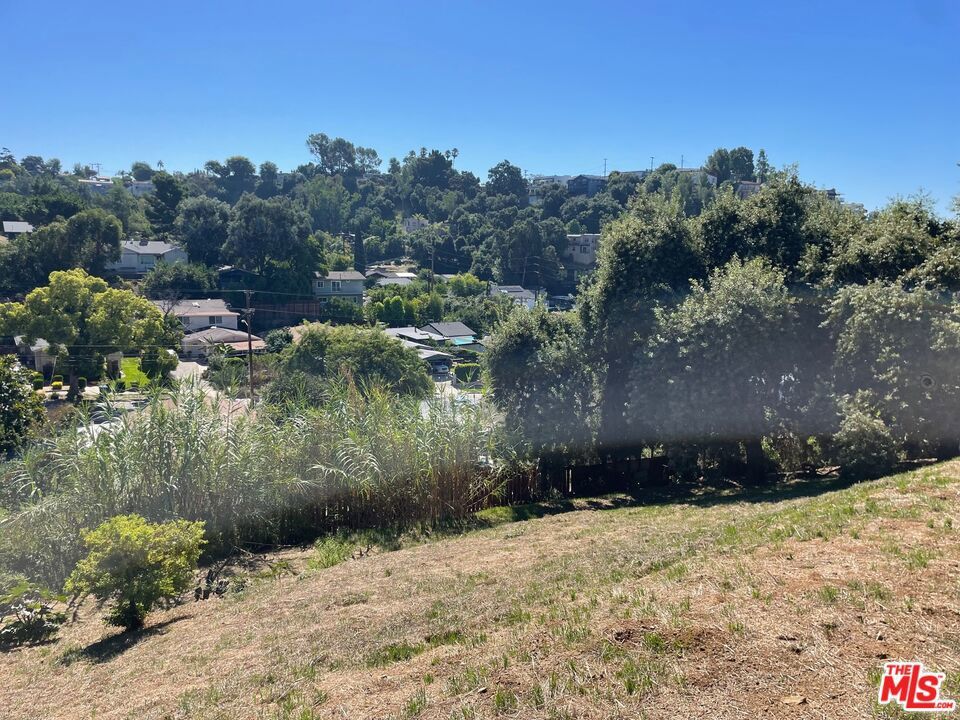 Photo of Listing #23318863