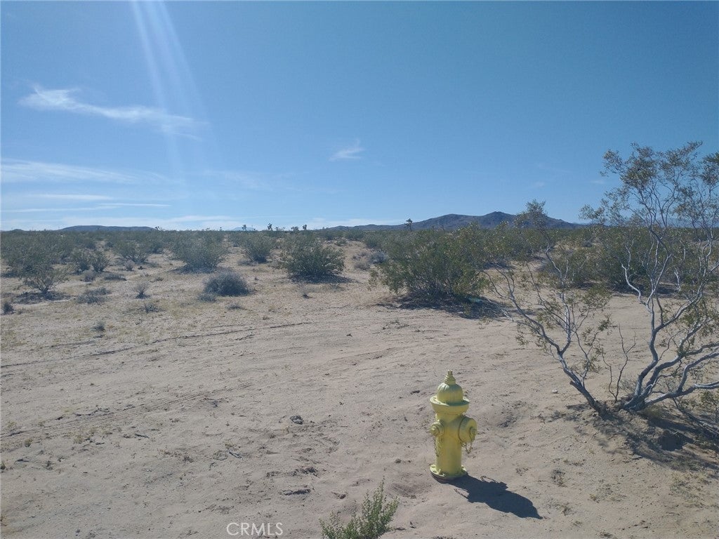 Photo of Listing #HD23203988