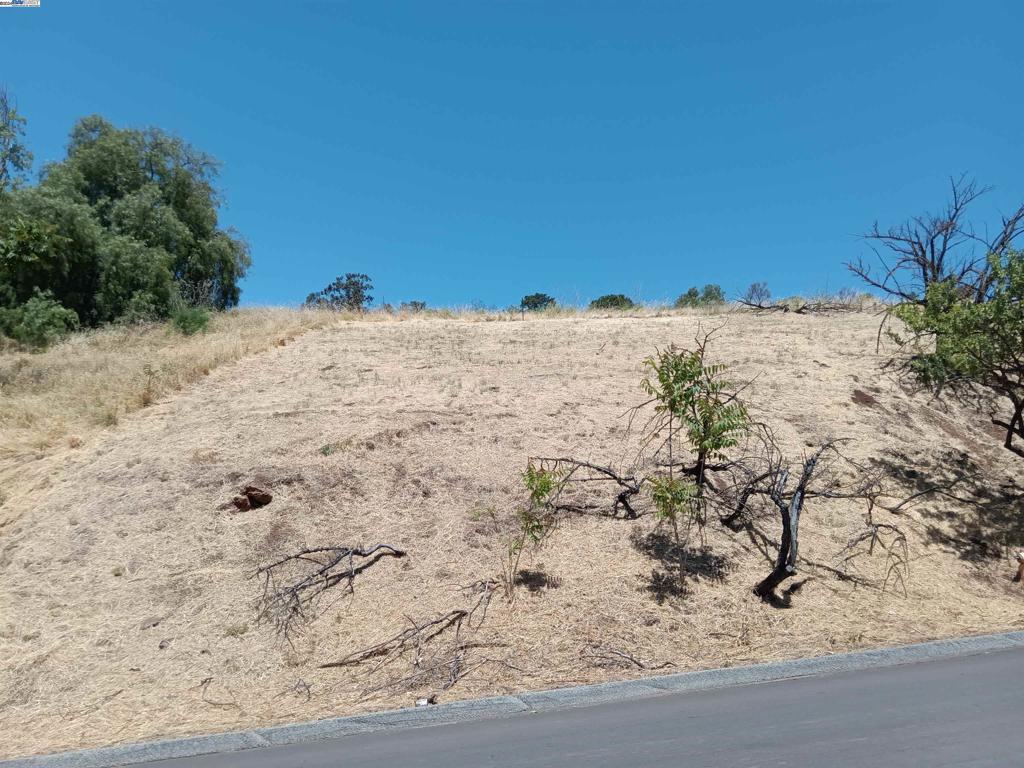 Photo of Listing #41046838