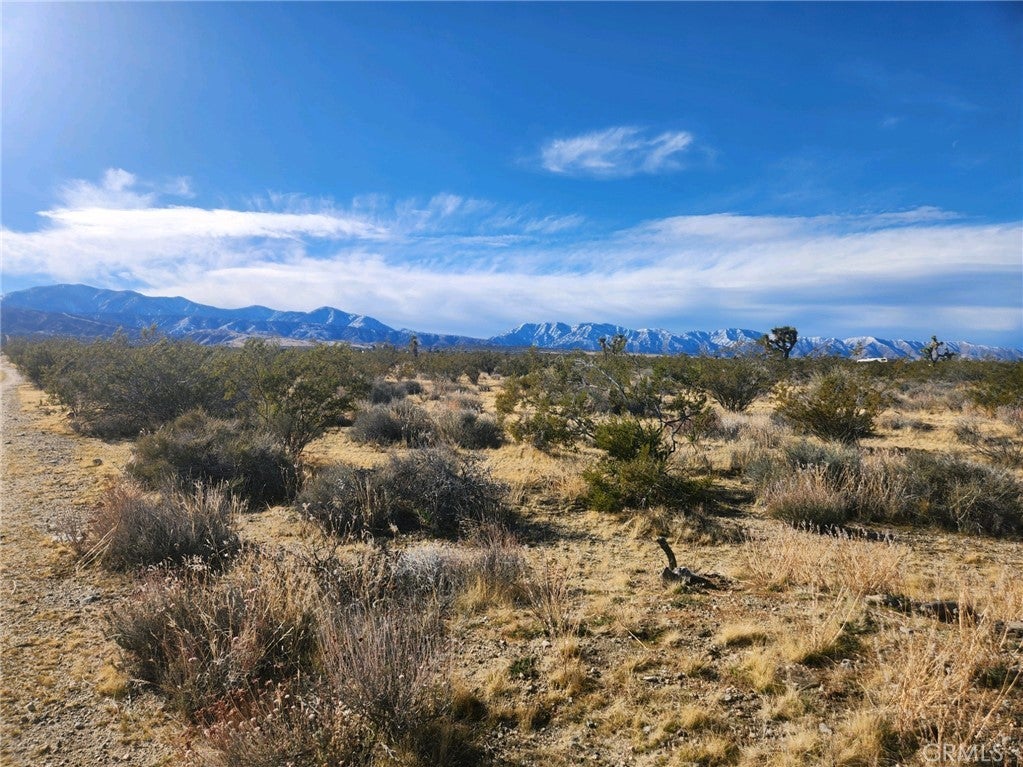 Photo of Listing #IV24002839