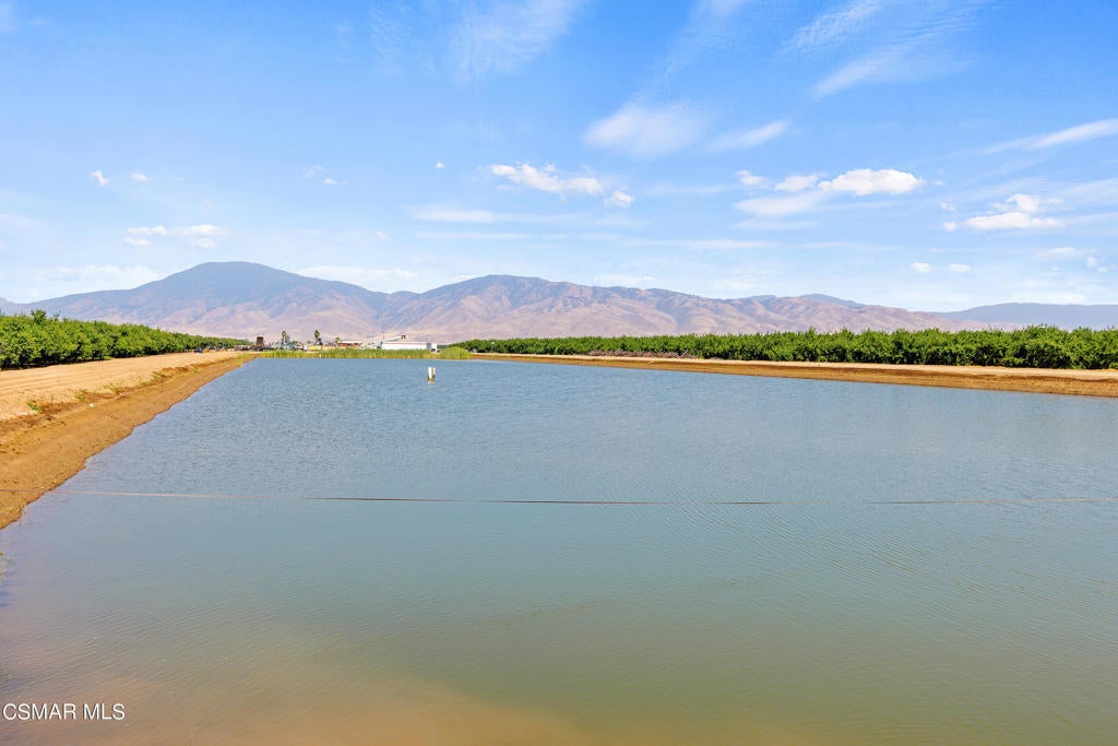 Photo of Listing #224000211