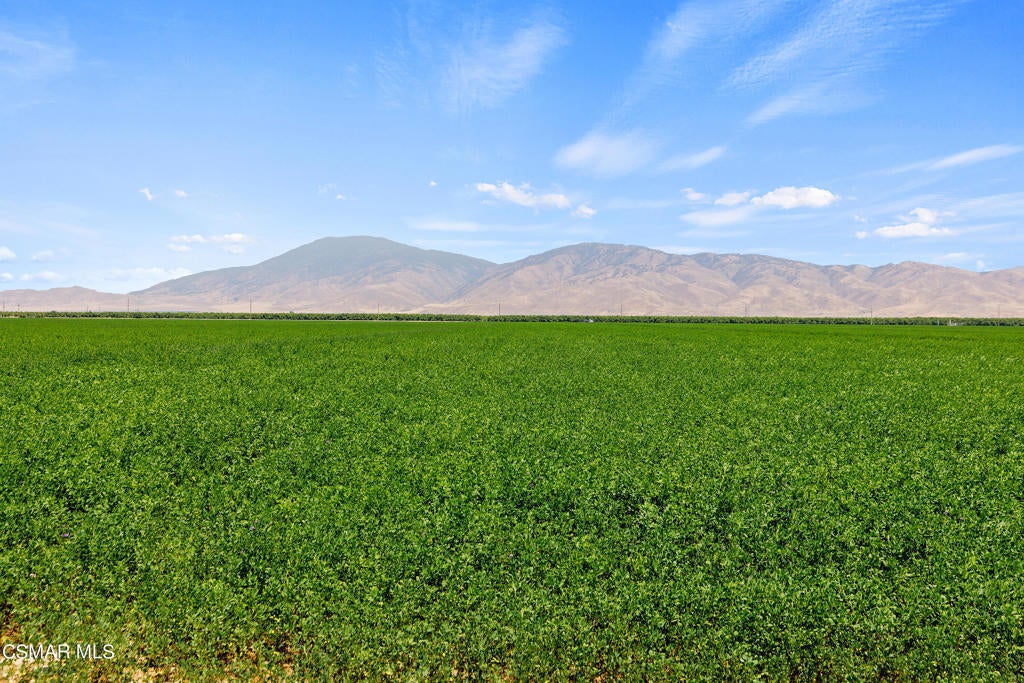 Photo of Listing #224000212