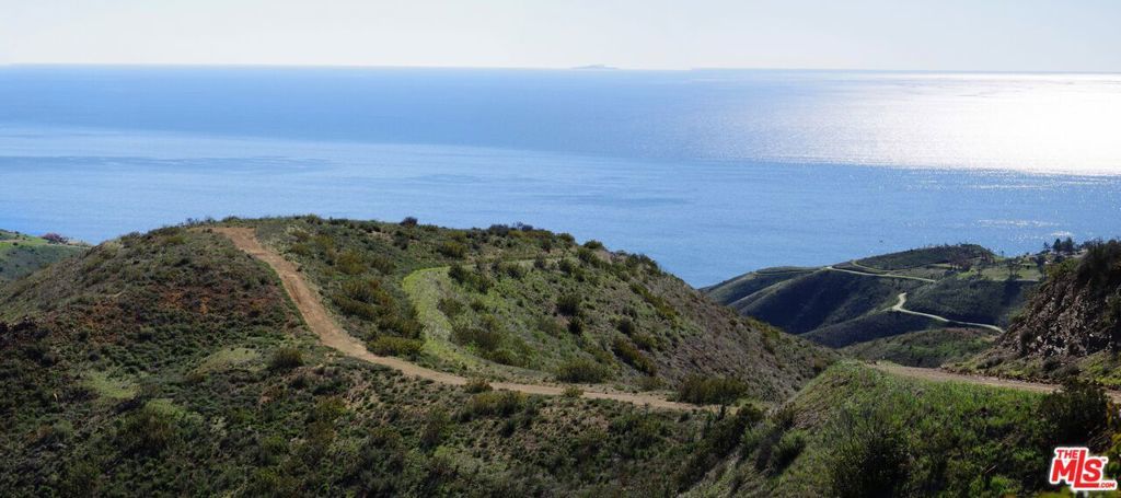 Photo of Listing #24348897