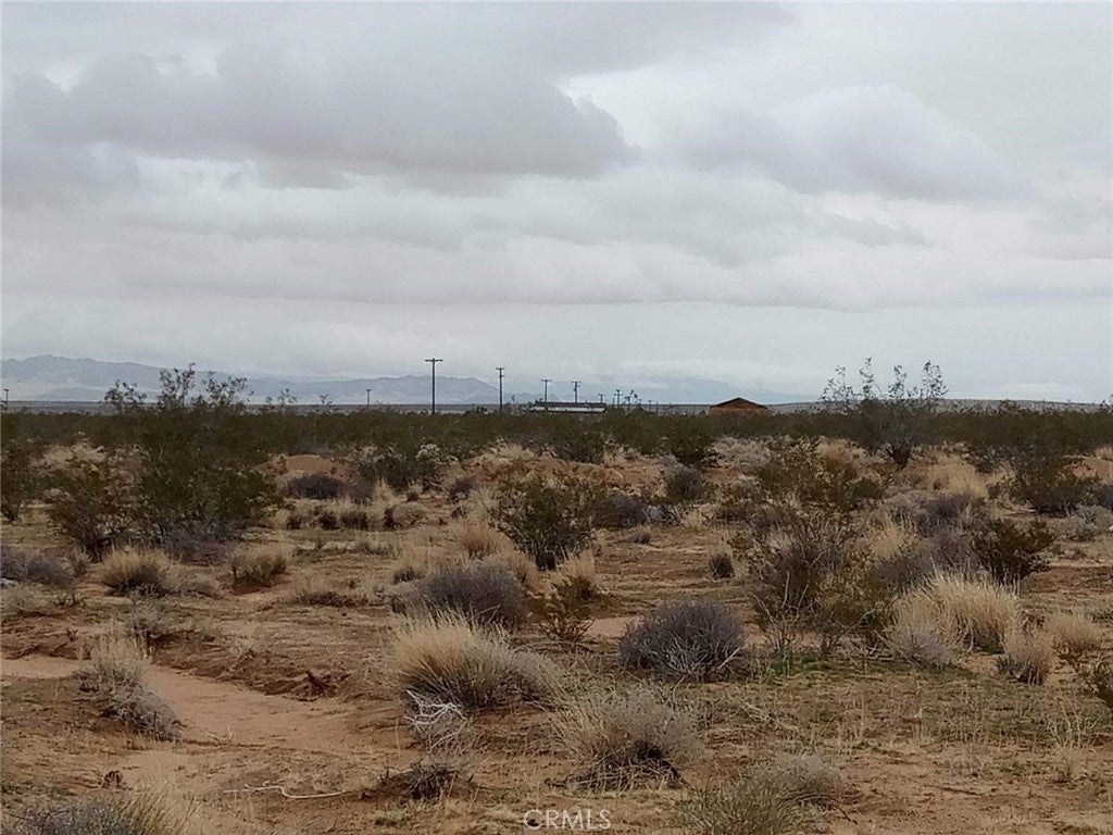 Photo of Listing #HD24024289