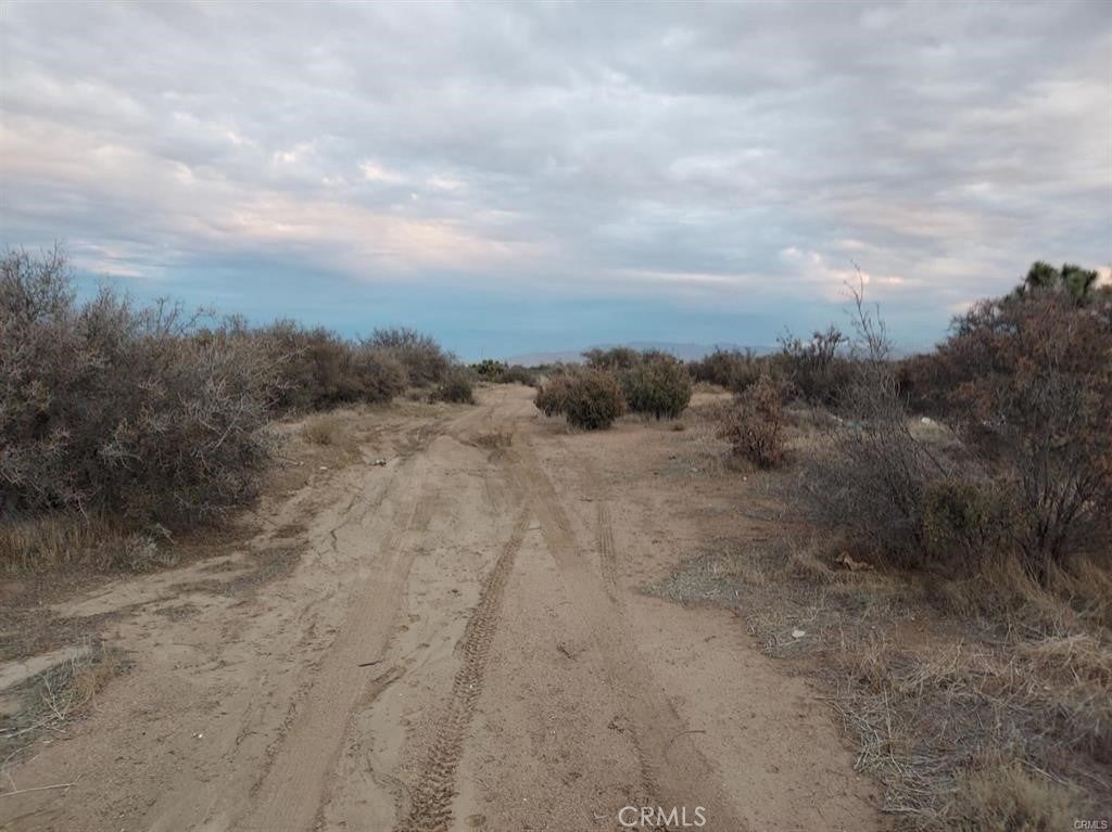 Photo of Listing #HD24035420