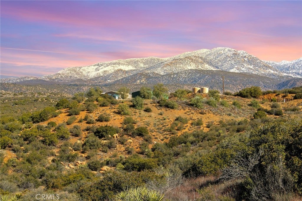 Photo of Listing #SW24051090