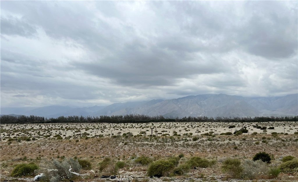 Photo of Listing #TR24052375