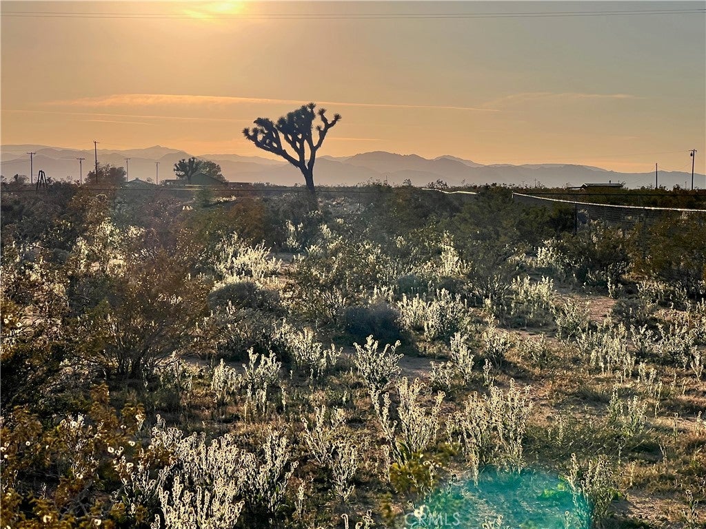 Photo of Listing #JT24057331