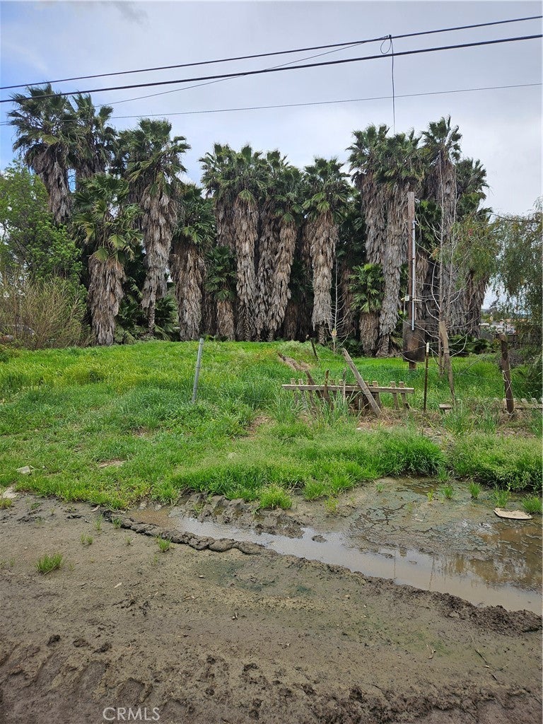 Photo of Listing #IV24058544