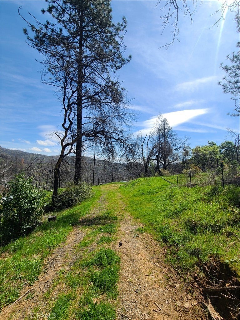 Photo of Listing #OR24069177