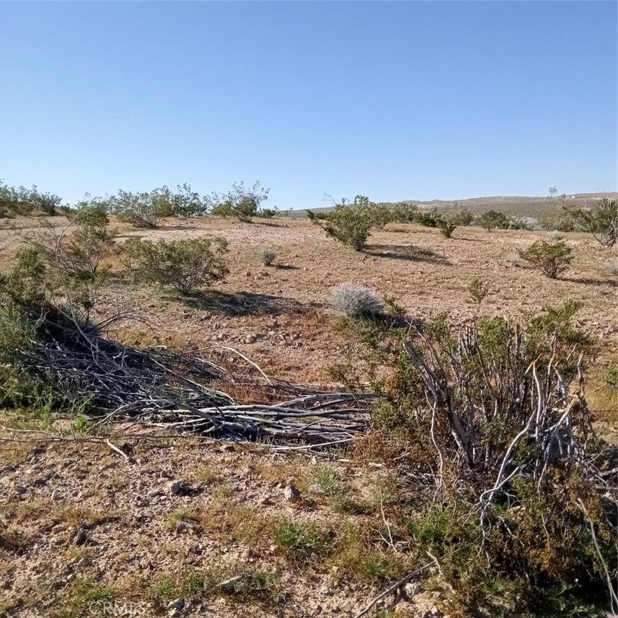 Photo of Listing #EV24072057