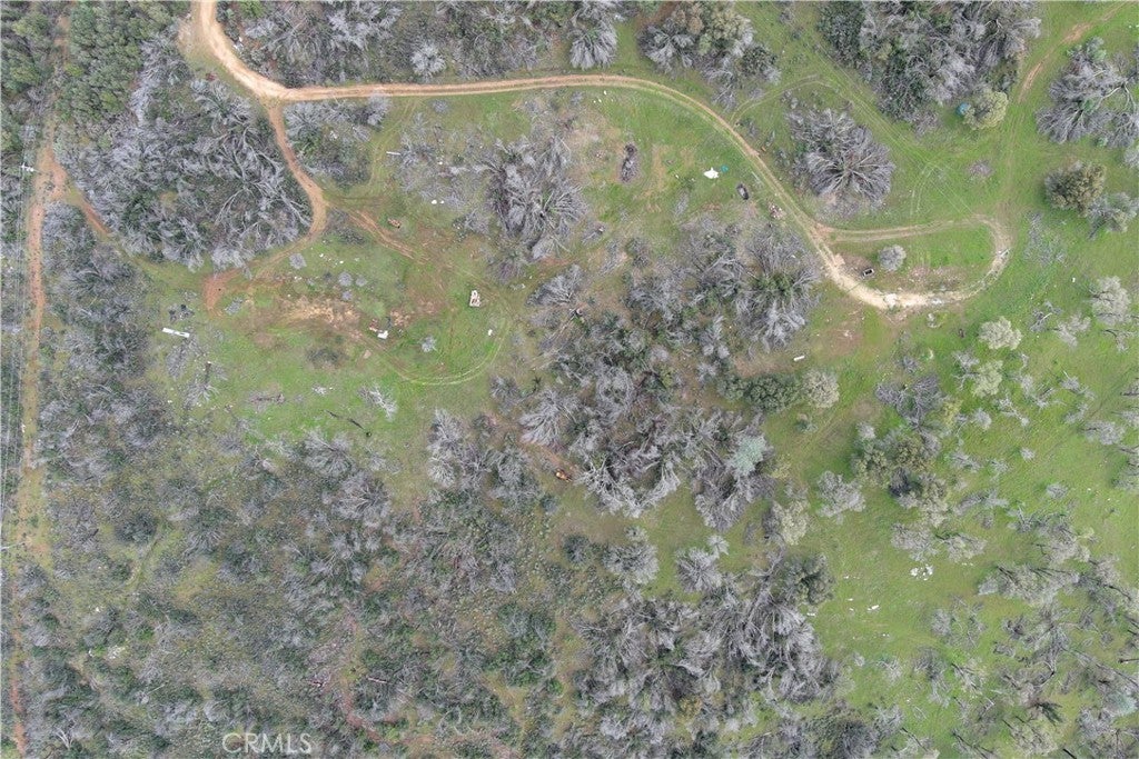 Photo of Listing #MP24054918