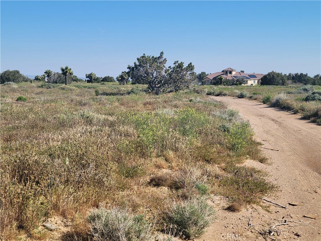 Photo of Listing #HD24080295