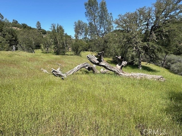 Photo of Listing #NS24090062