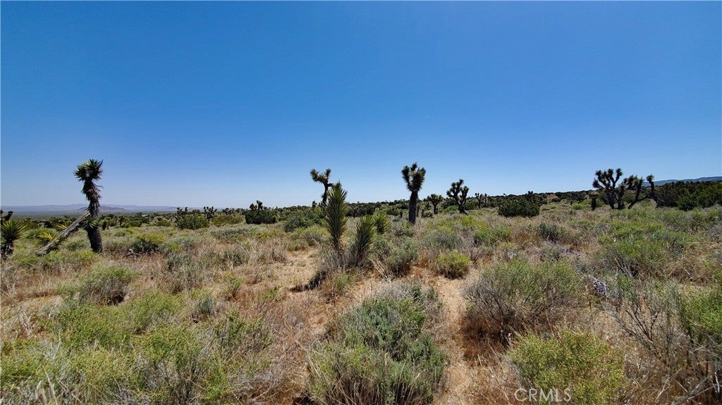 Photo of Listing #SR24091966