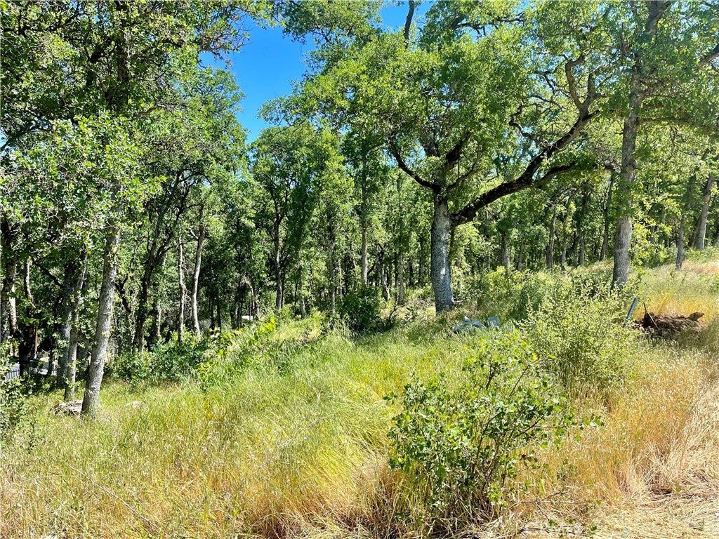 Photo of Listing #LC24096050