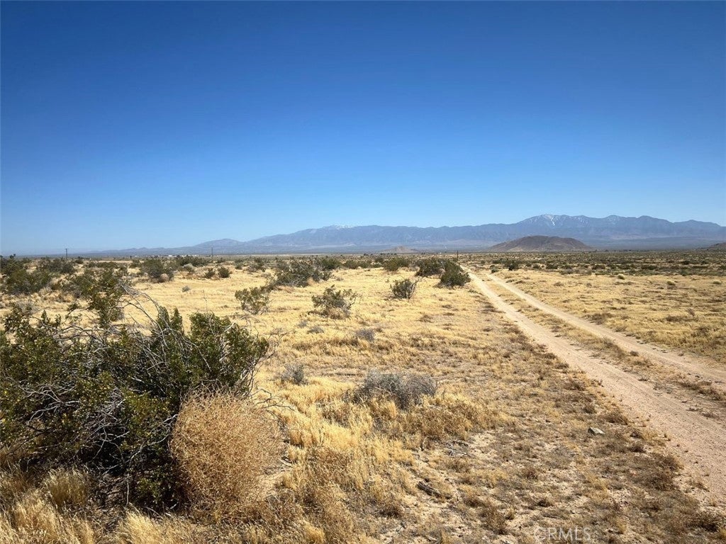 Photo of Listing #SR24108596